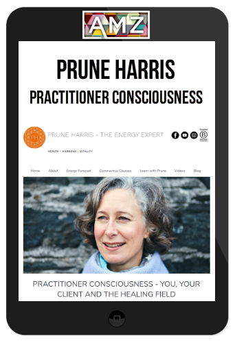 Prune Harris – Practitioner Consciousness – You, Your Client and the Healing Field