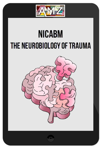 NICABM – The Neurobiology of Trauma
