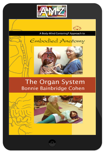 Bonnie Bainbridge Cohen – Embodied Anatomy And The Organ System