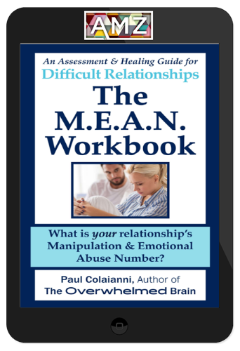 The Overwhelmed Brain – The M.E.A.N. Workbook: An Assessment and Healing Guide For Difficult and Emotionally Abusive Relationships